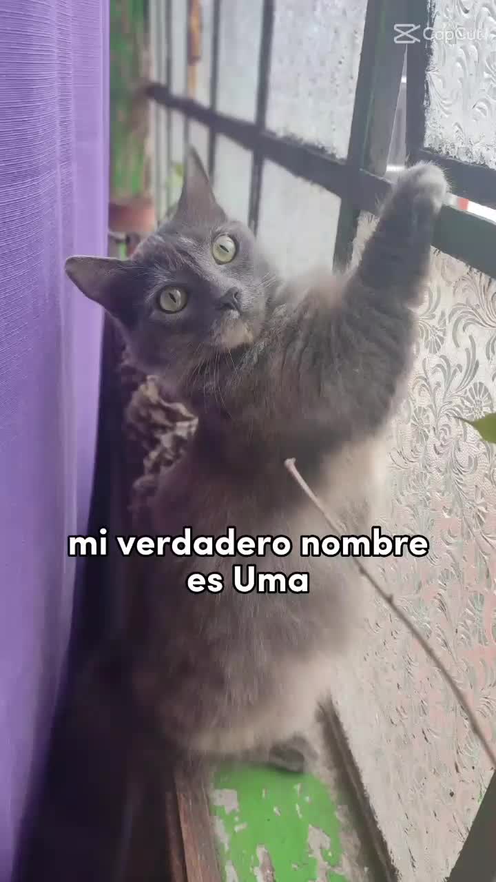 @Jenny Melgar