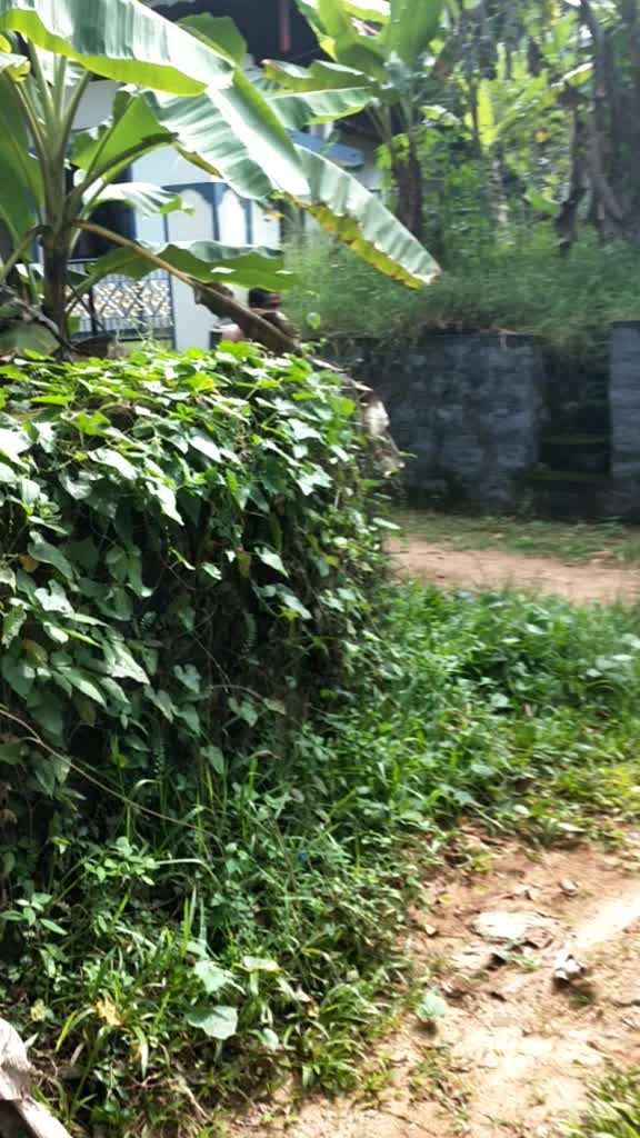 @AnanDhu JagAl