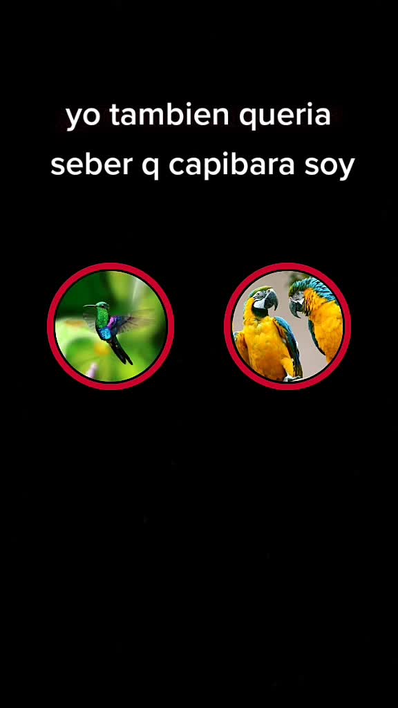 @lucastranamil💘?💘