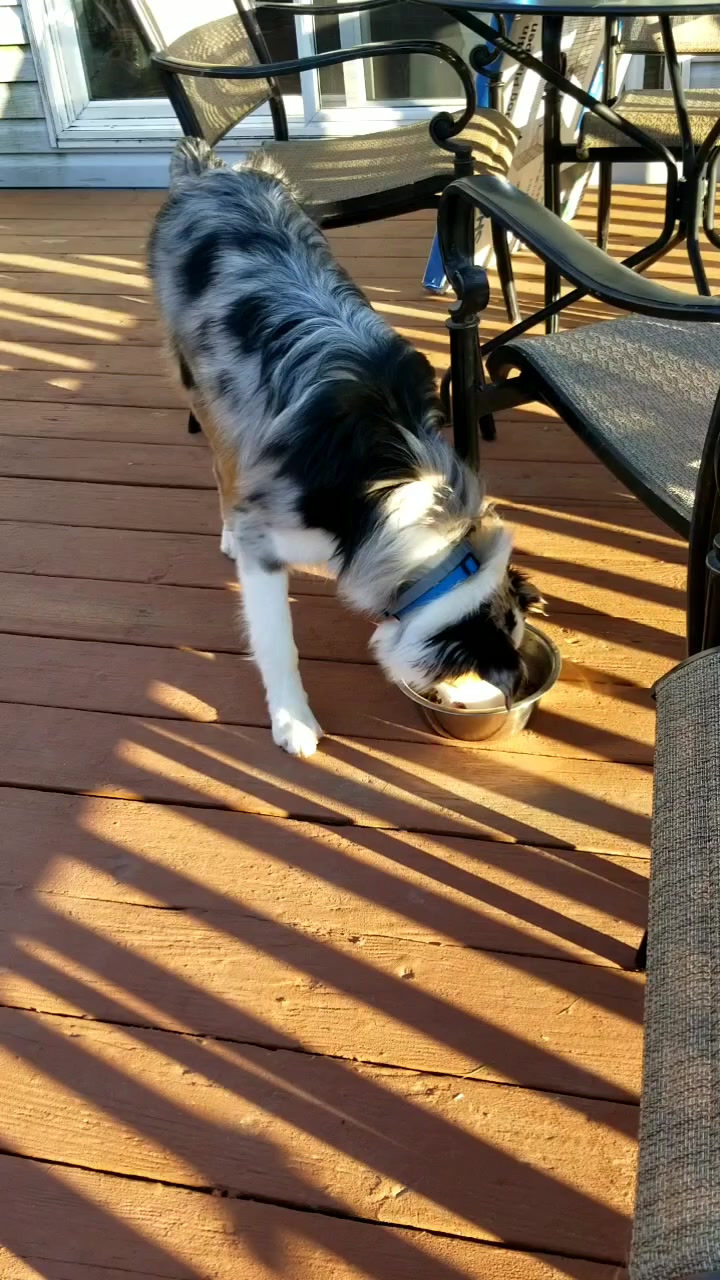 @Jett The Aussie