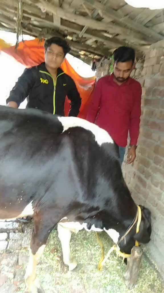 @Shubham Kalyan