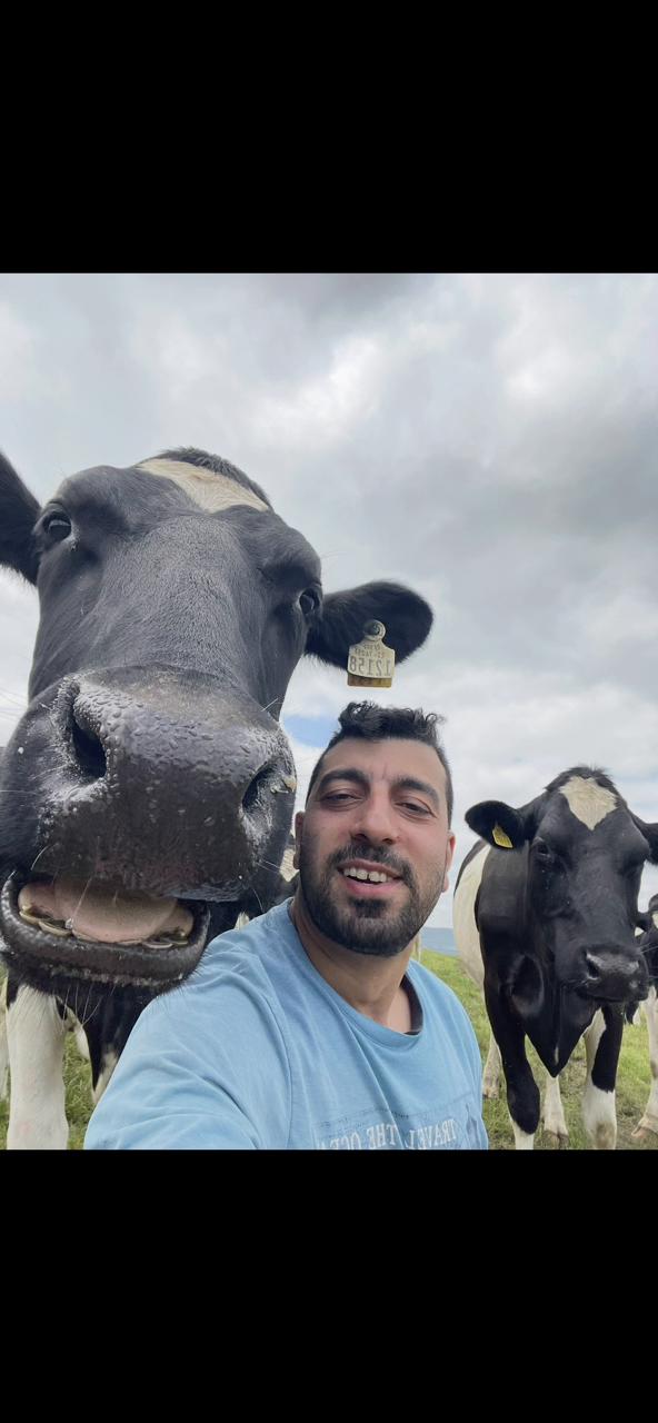 @Cow King 🐮🤴