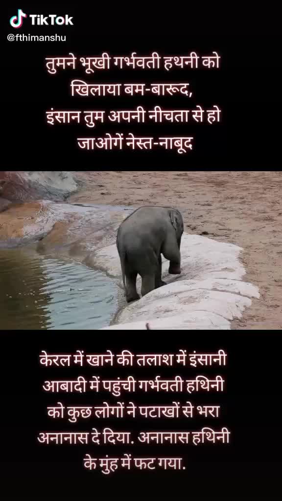 @rambo raj
