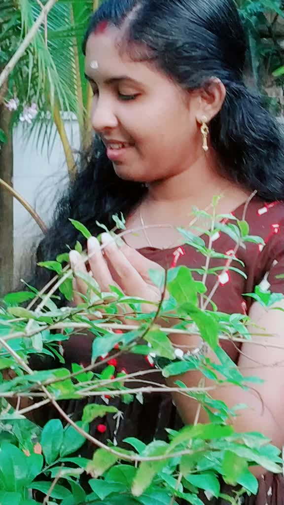@imprhea
