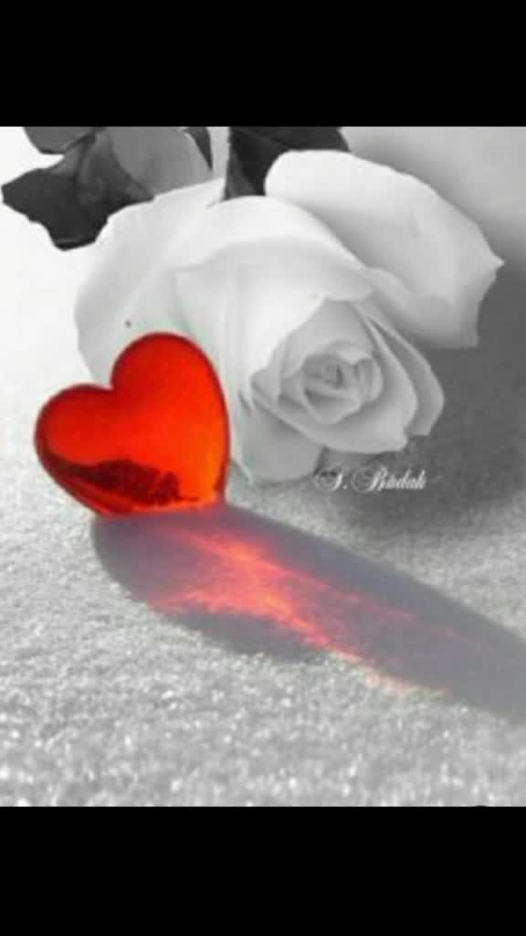 @purvi