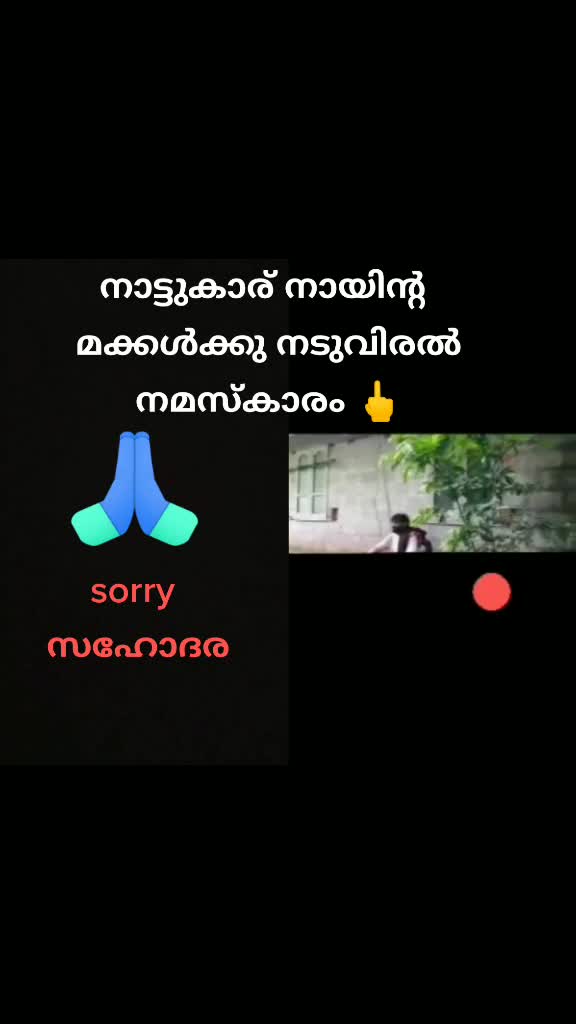 @rejinreji007
