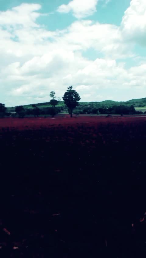 @ಸಂಧ್ಯಾ ಎಸ್ ನಾಯಕ್