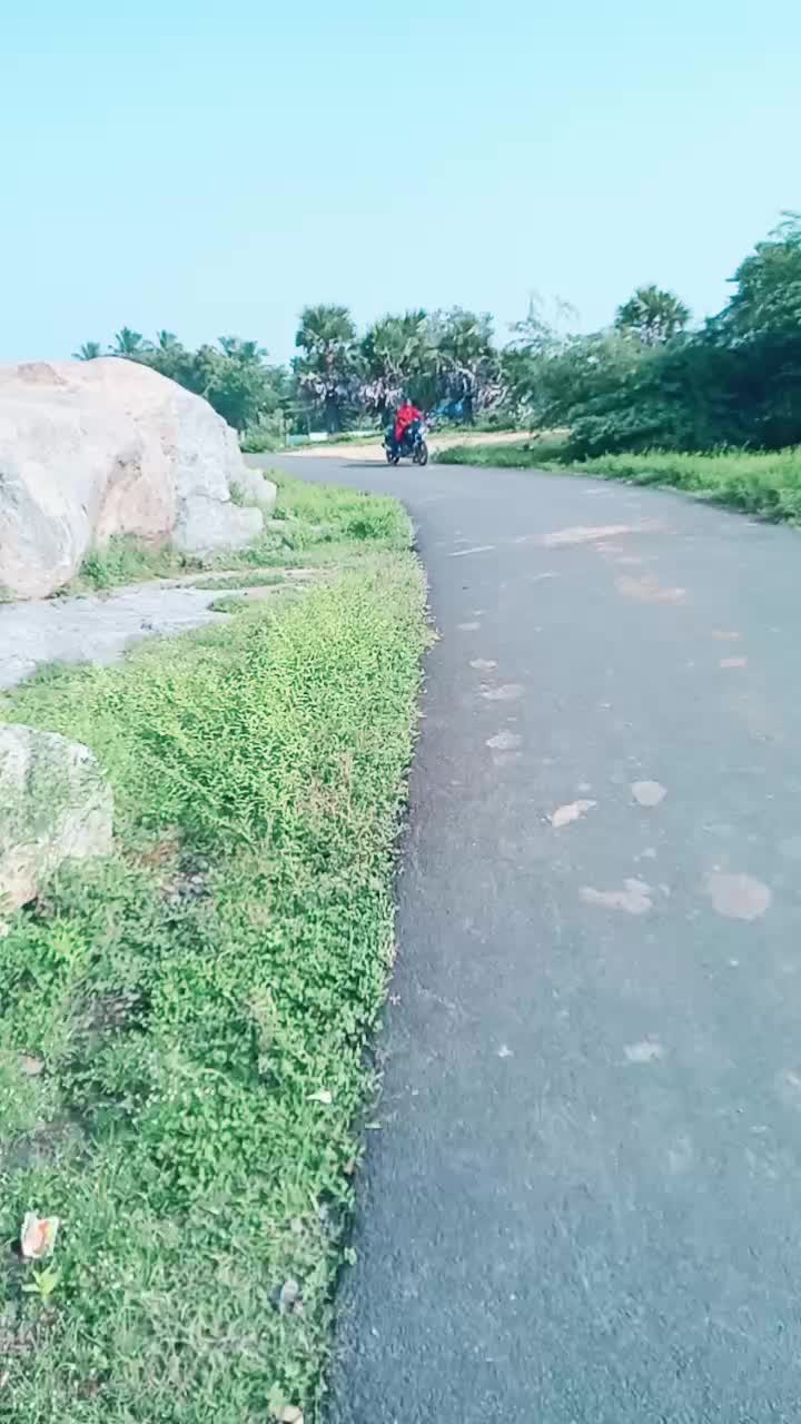 @monisha25299