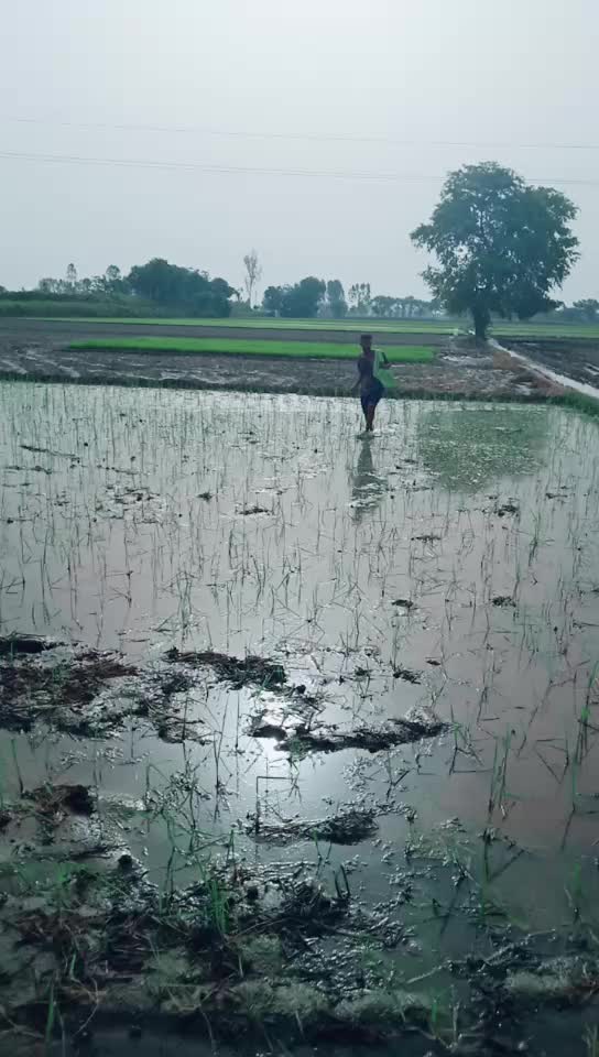 @gurjant. gill