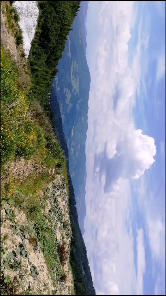 @bicsakmarcell22