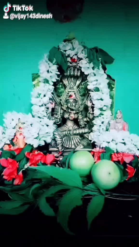 @💙Vijay Kumar💙