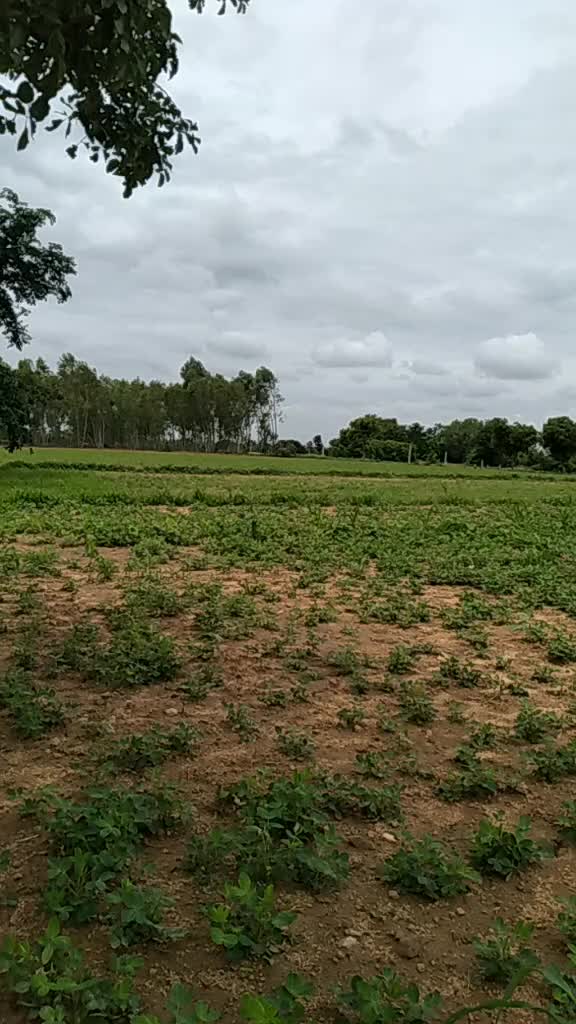 @Chinni Kalyani 😍