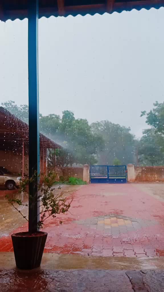 @🌴ರಾಣಿಗಿರಿ ರೈತ 🌴