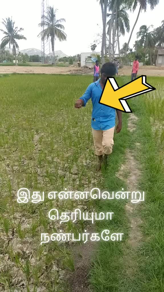 @VishrMahi