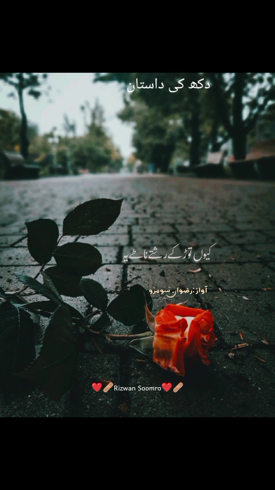 @Rizwan Soomro