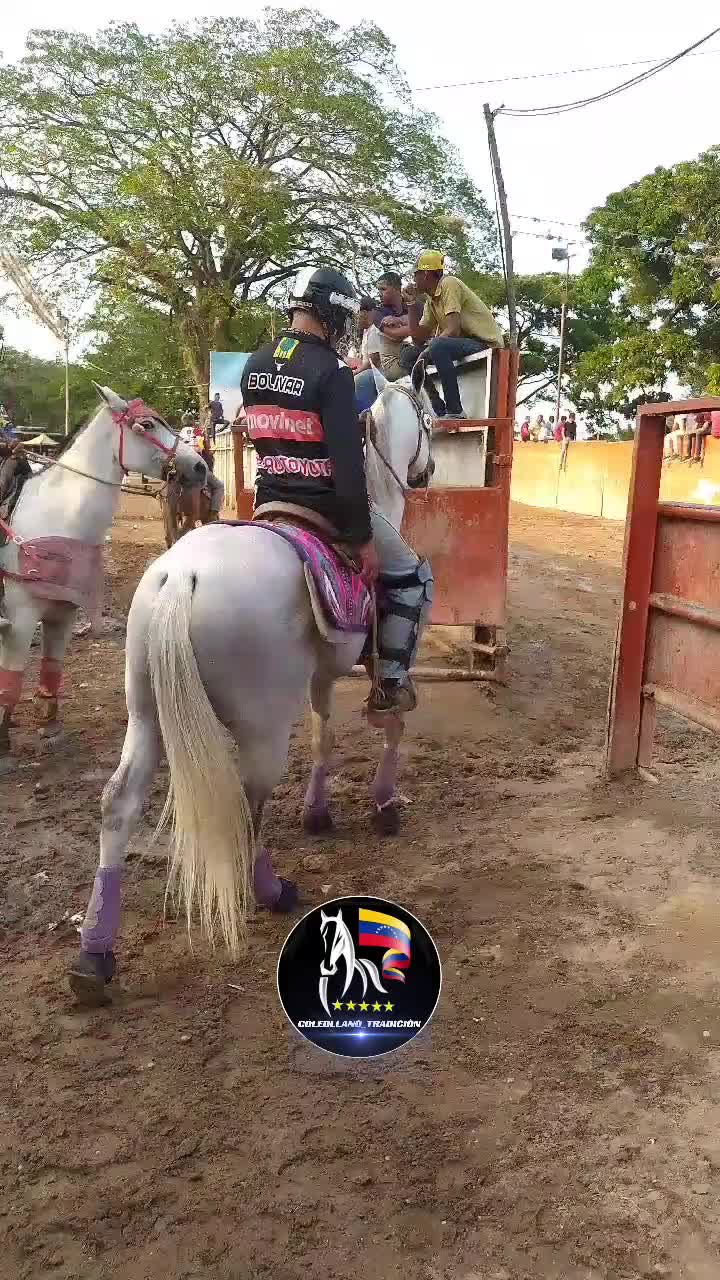 @@Coleollano_tradicion