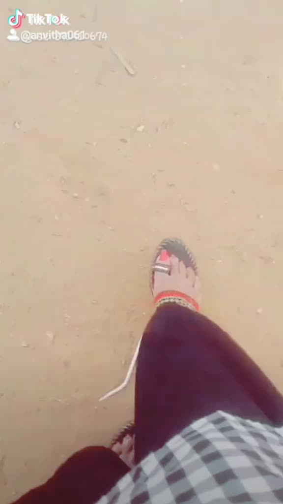 @anvitha kutty