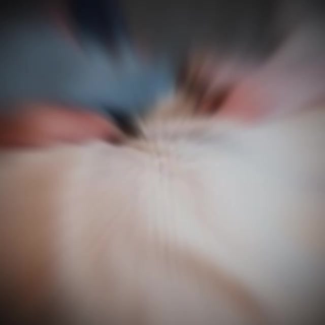 @Flipa_postbad2020🖤
