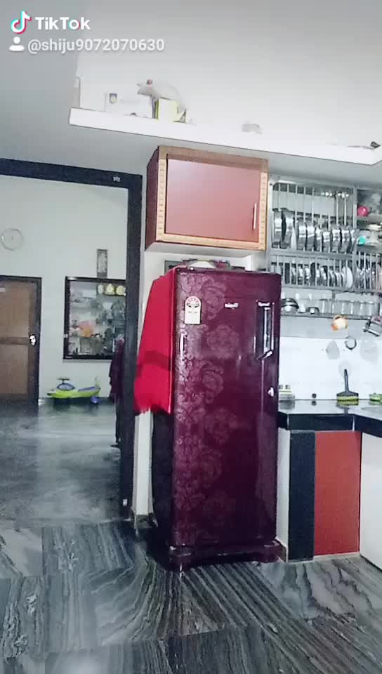 @shijushilna
