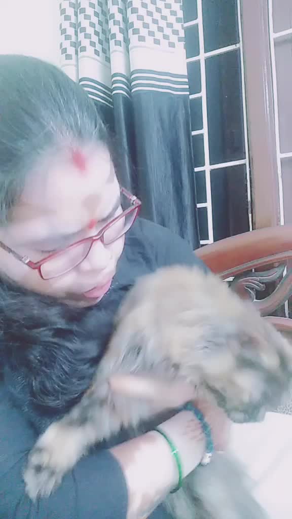 @Lế Việt Việt