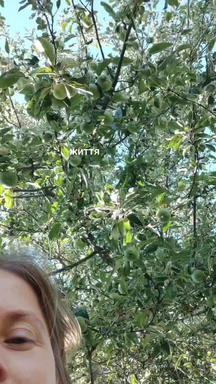 @Оксана Семак