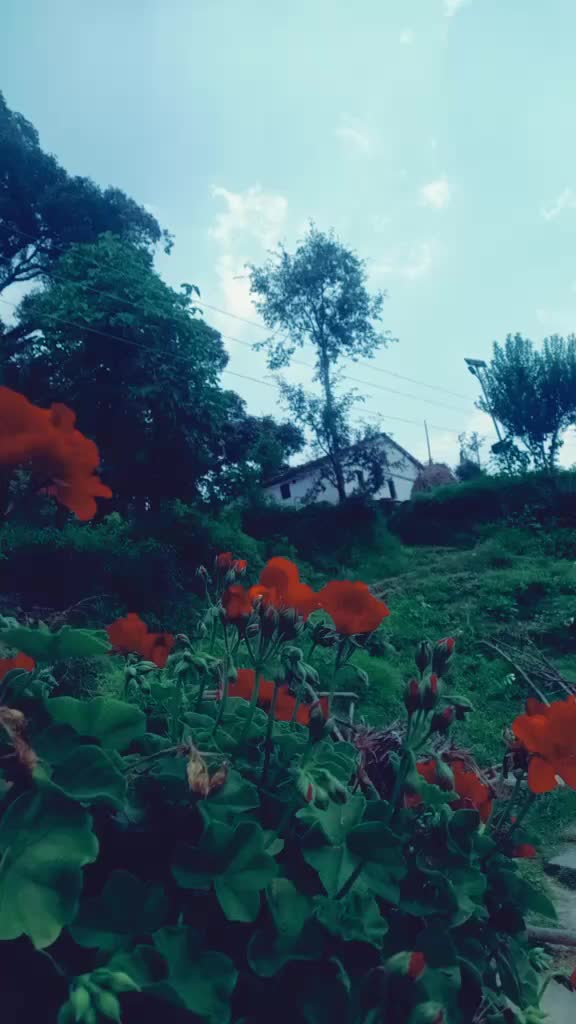 @user9105542090986