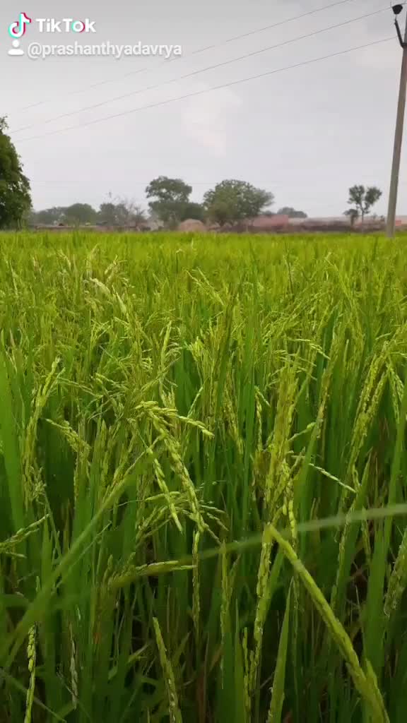 @Prashanth Yadav