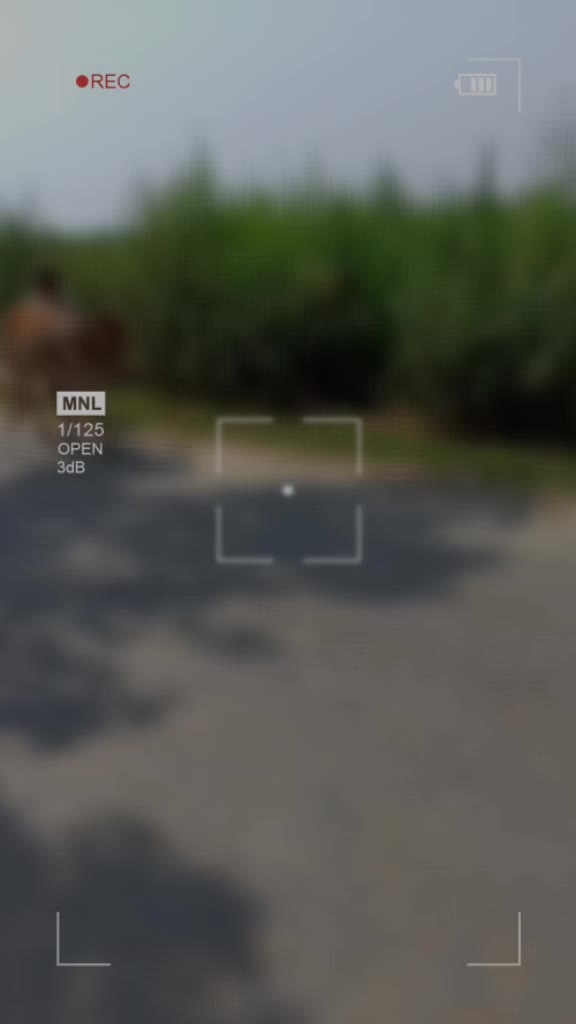 @Vivek Khatri