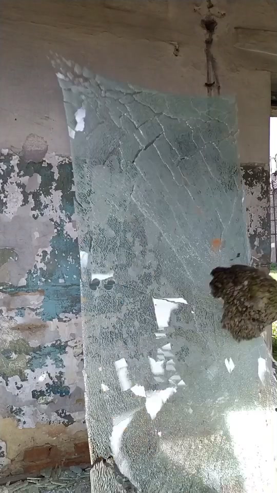 @СтеклянНый