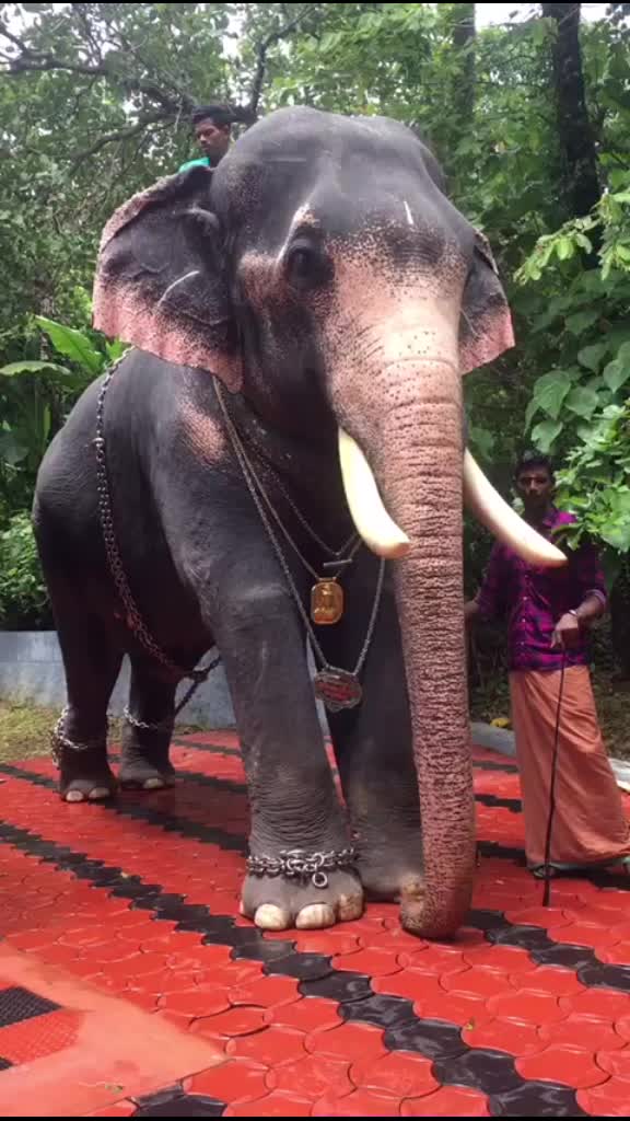 @Sreekuttan