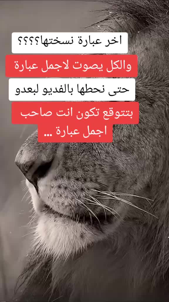 @ﷴ- 505-vpn