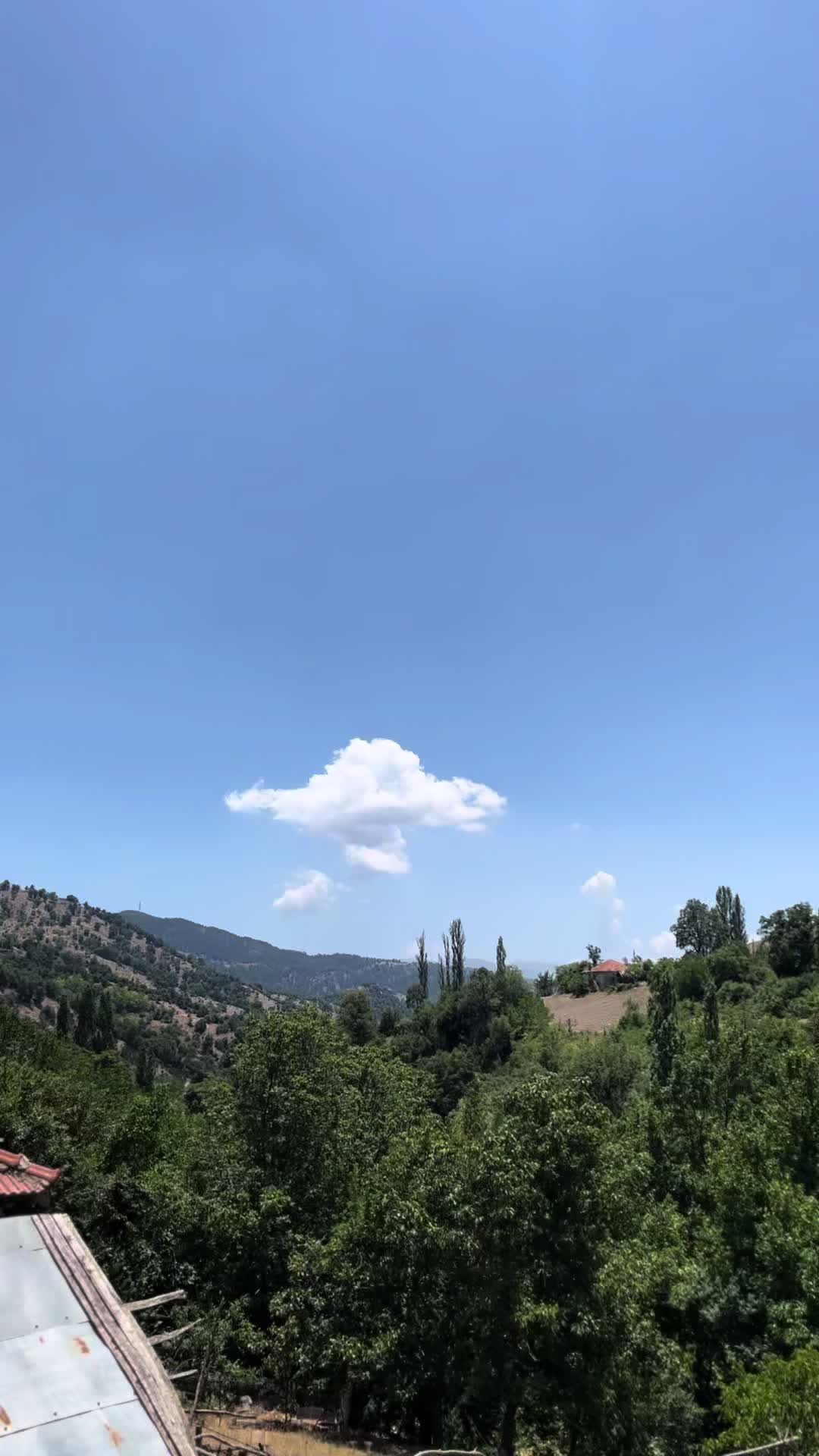 @Ali Sarı