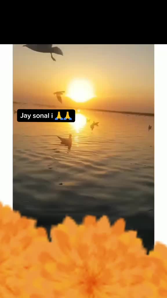 @🐯royal👑Ahir👑99🐯