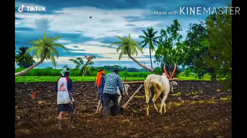@Saikumar Shahane