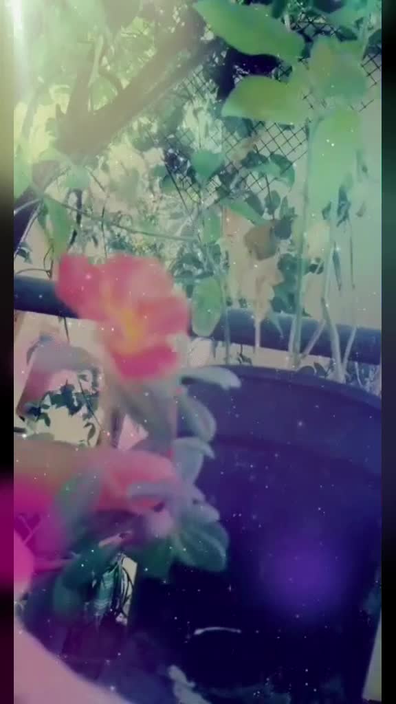 @GOWSYA
