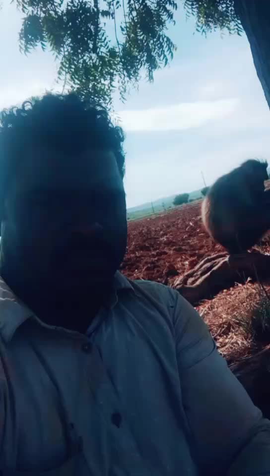 @use r5948968176925