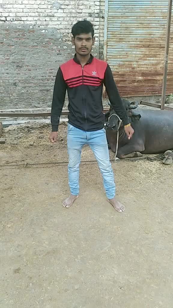 @Chandarpal Mandloi