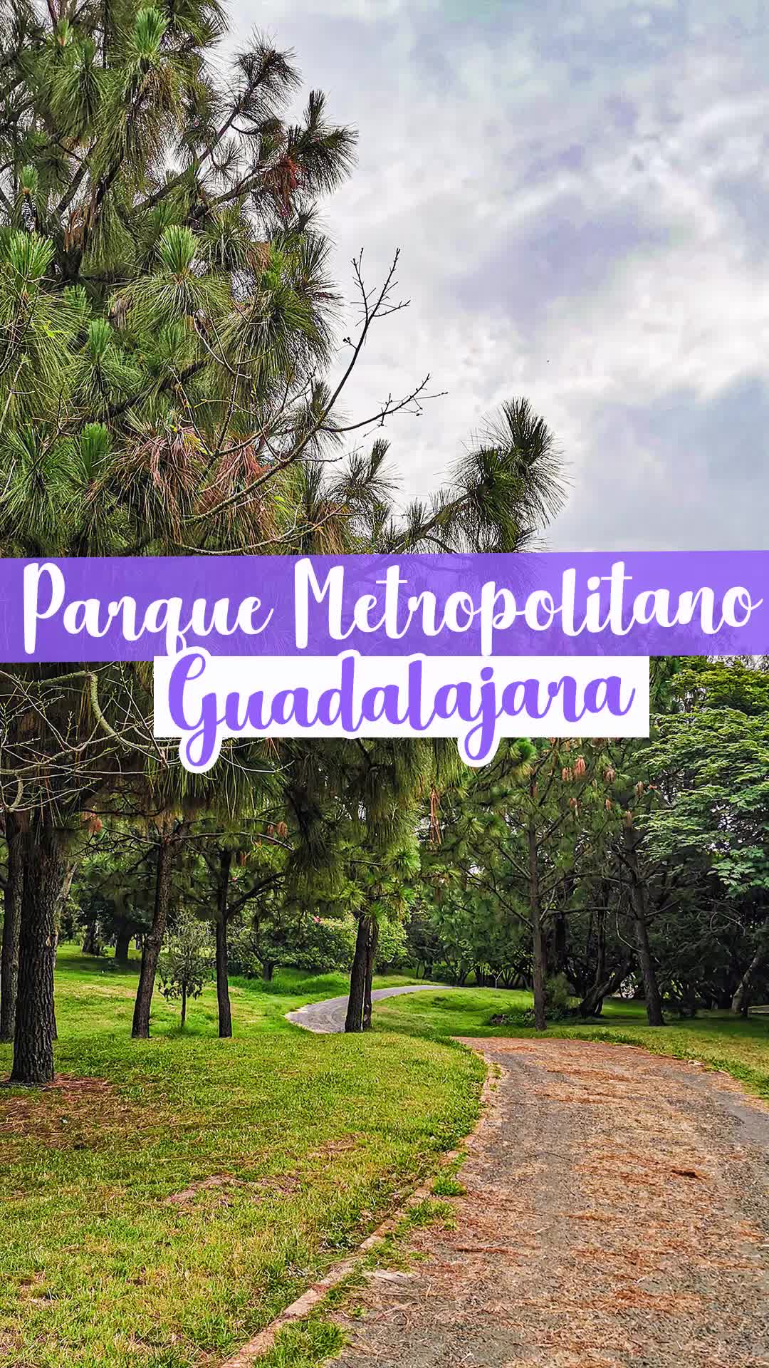 @dulceviaje