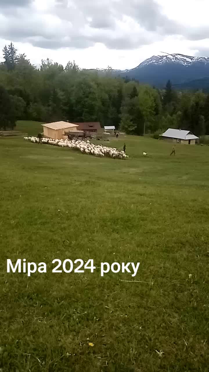 @ЗАКАРПАТТЯ РУЛИТЬ🇺🇦