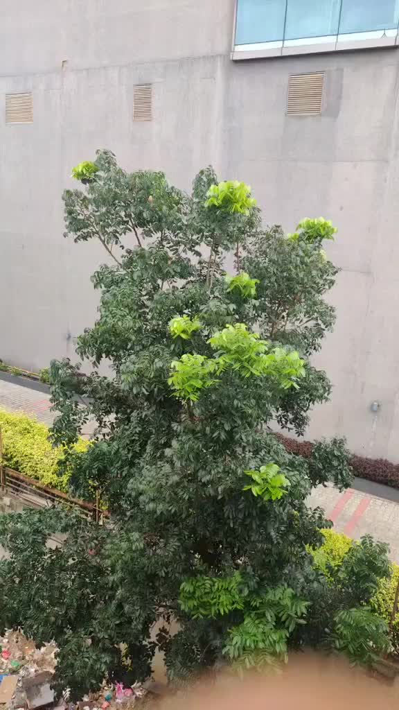 @ajaygowdakiru