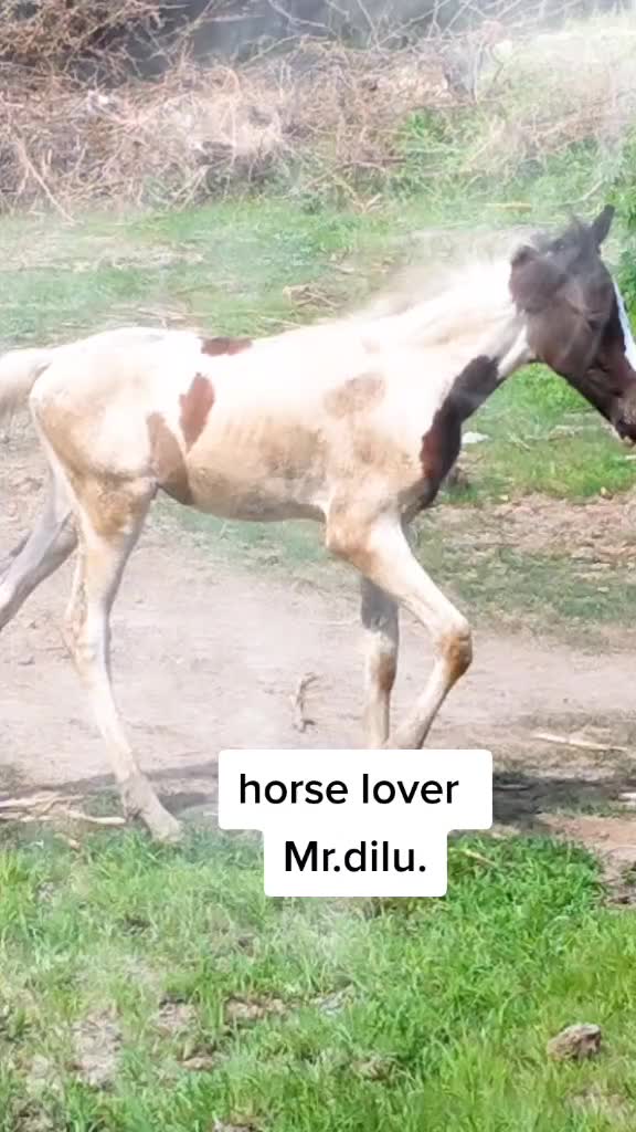 @king_of_babariya
