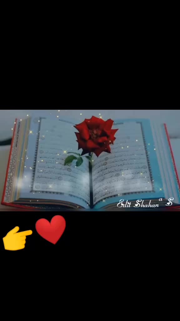 @Mohd Gulshad