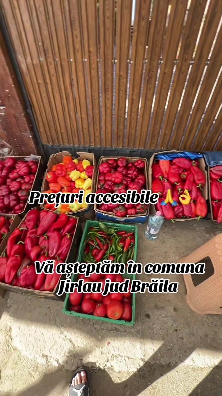 @Alex Andrra