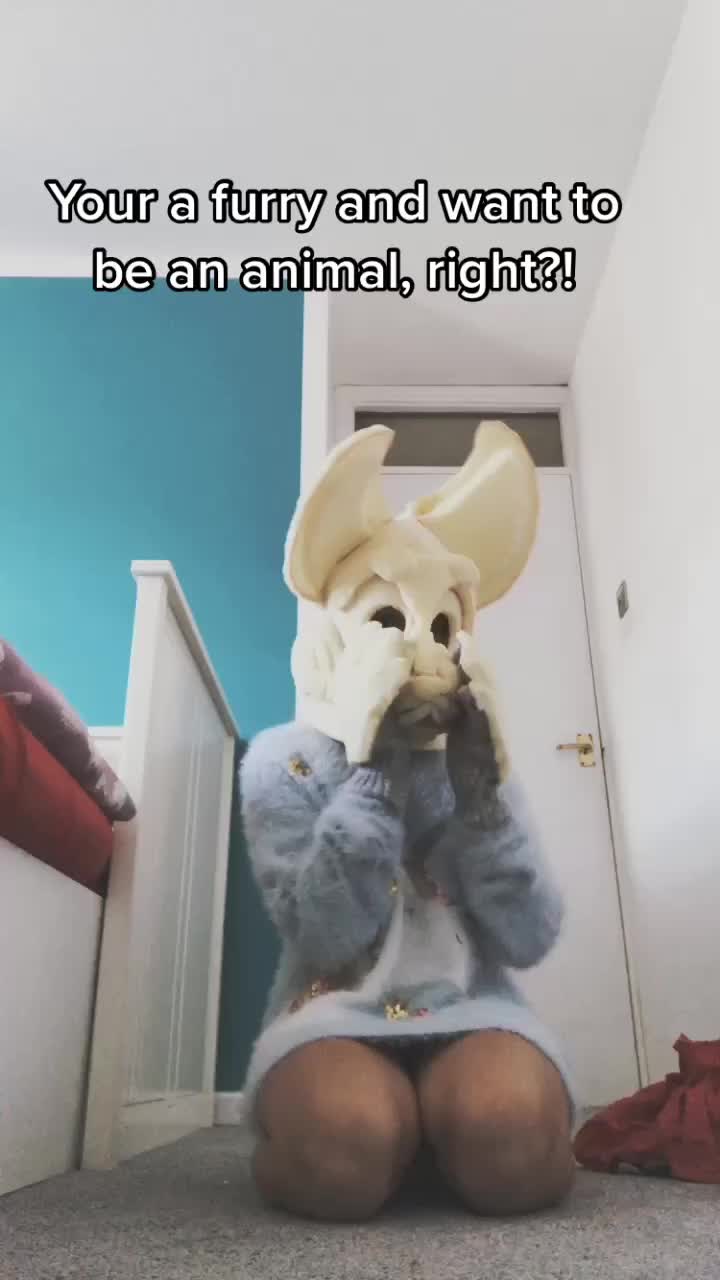@furry