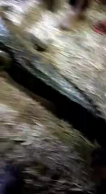 @raghava nani