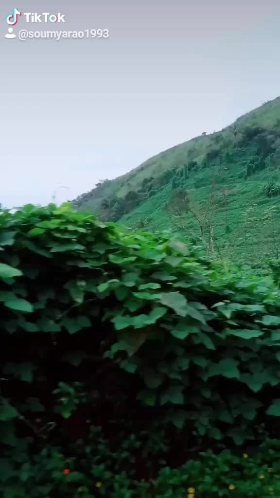 @Soumya Rao