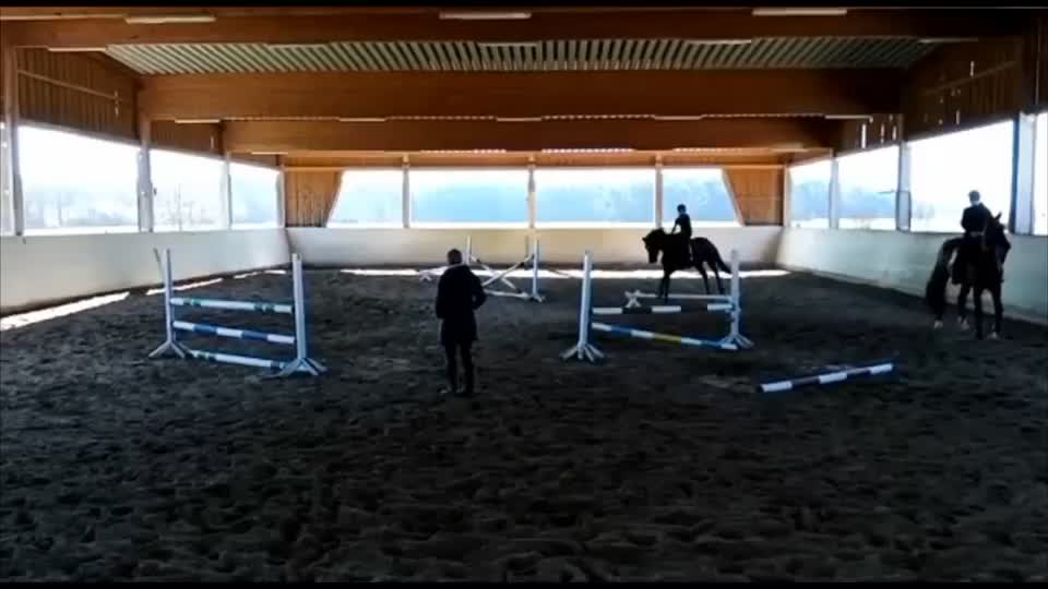 @My.soulhorse❤️🥺✌🏻