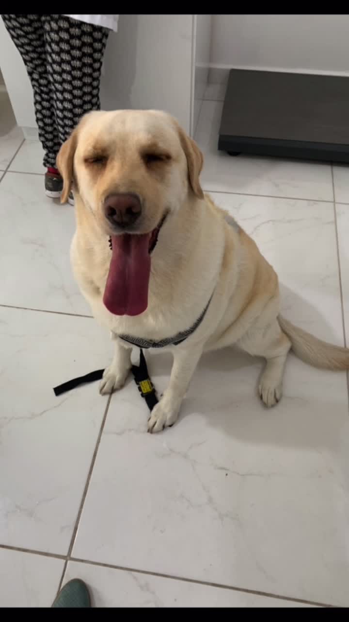 @Lunalinda.lab