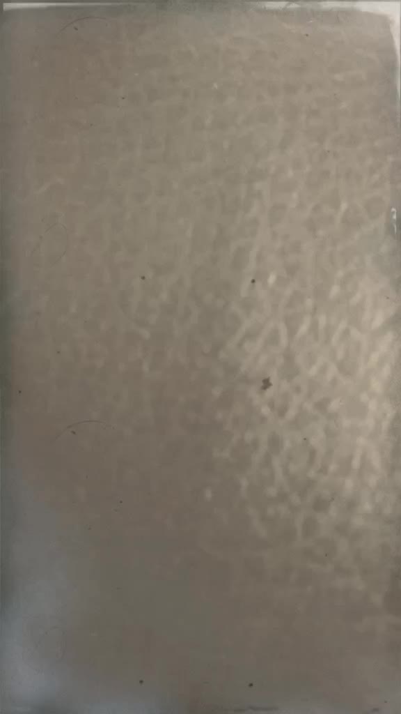 @hareshbajaniya