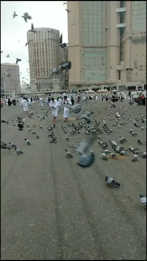 @user1609288338095